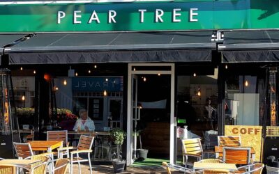 Pear Tree
