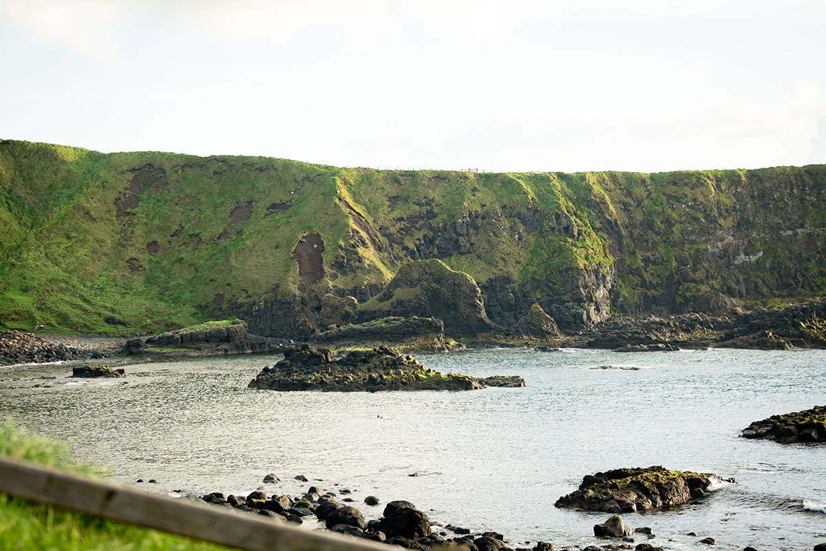 The Camel at The Giant's Causeway Northern Ireland