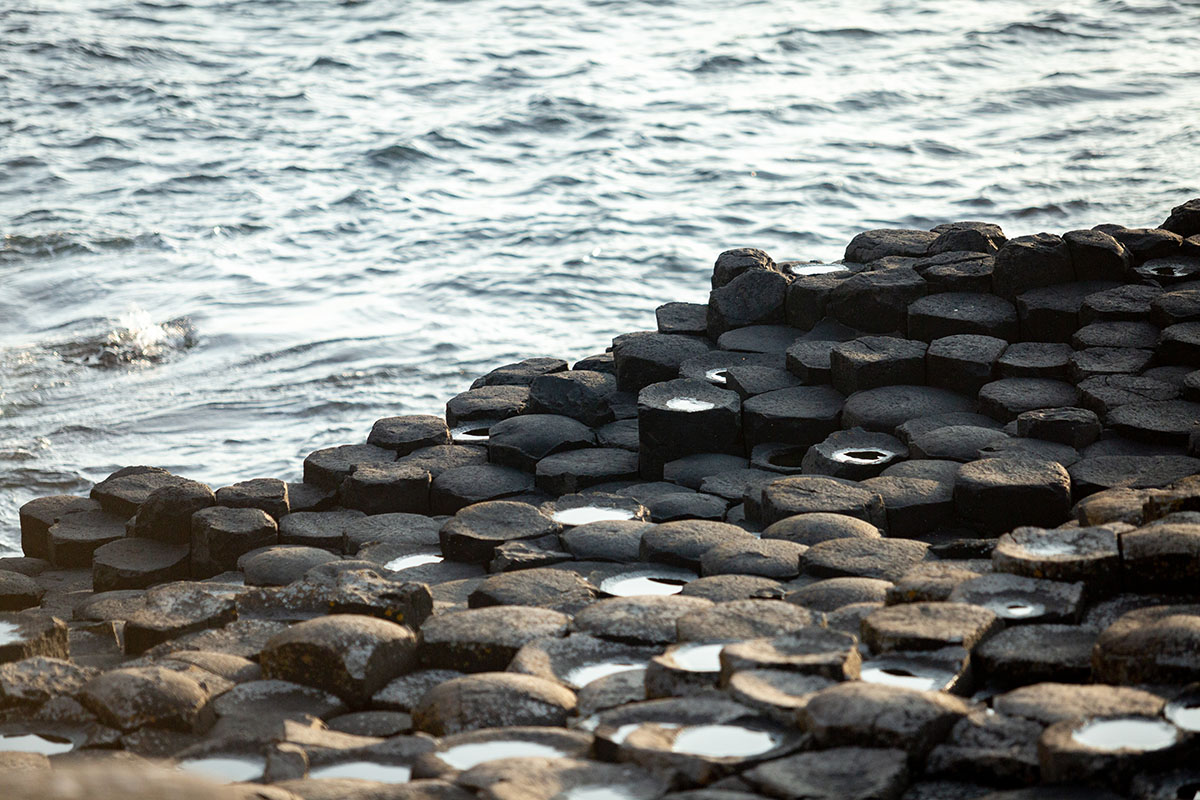 The Honeycomb at The Giant's Causeway Northern Ireland