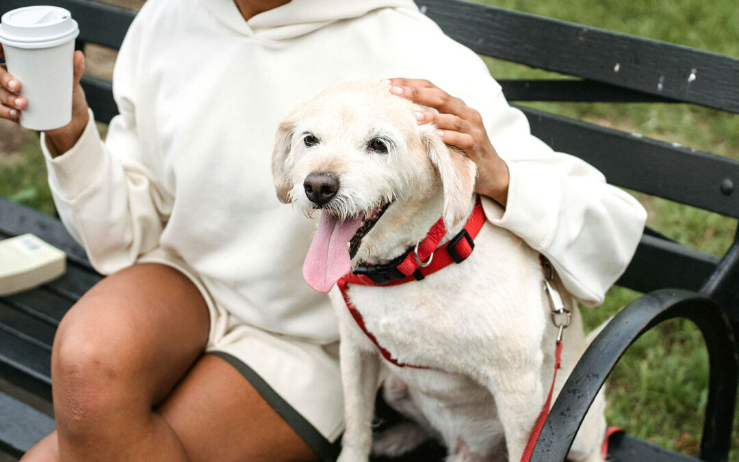 Top 5 Dog-Friendly Coffee Shops on the North Coast of Northern Ireland